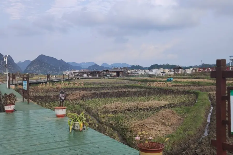 昊禹稻花鄉里景區