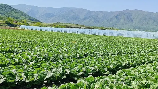 秦嶺蔬菜公園