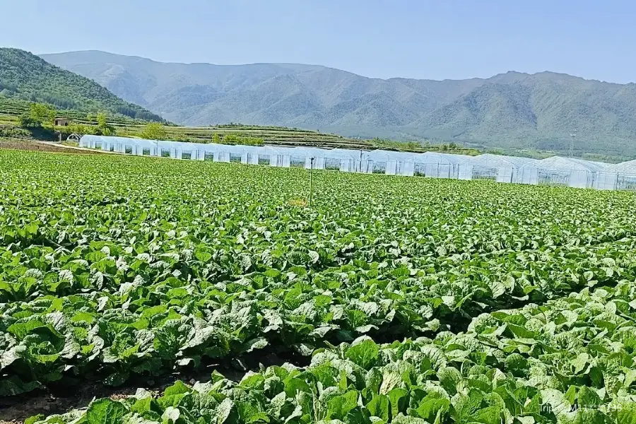 秦嶺蔬菜公園