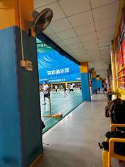 Shunping Badminton Table Tennis Hall