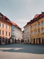 Pszczyna - Rynek