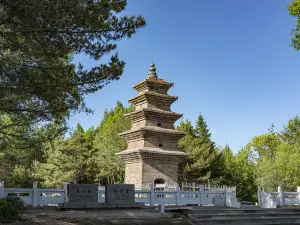 Tashan Park