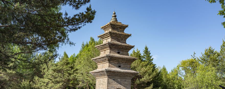 Tashan Park