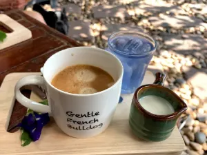 Turtle Bay x Sea Harmony Eco Cafe