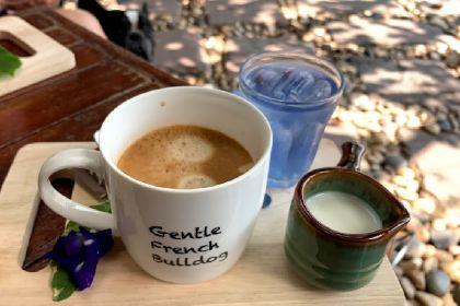 Turtle Bay x Sea Harmony Eco Cafe