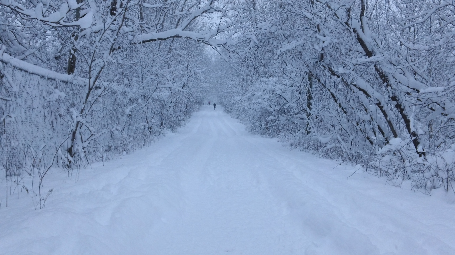 Groundhog Day Marathon | Walker