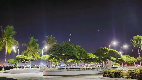 Centro De Manzanillo Colima
