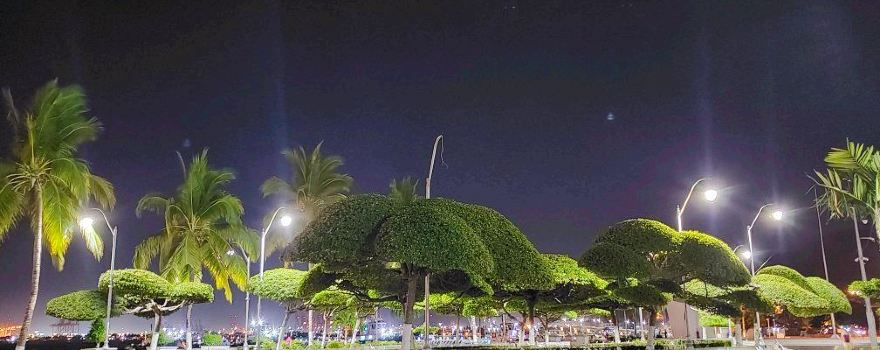 Centro De Manzanillo Colima