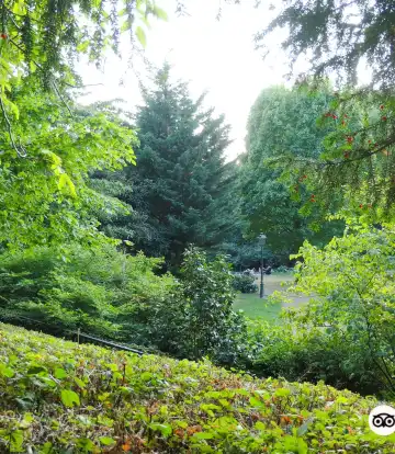 Hotels near Tenbosch park