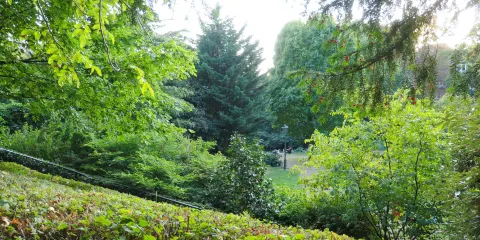 布魯塞爾森林公園