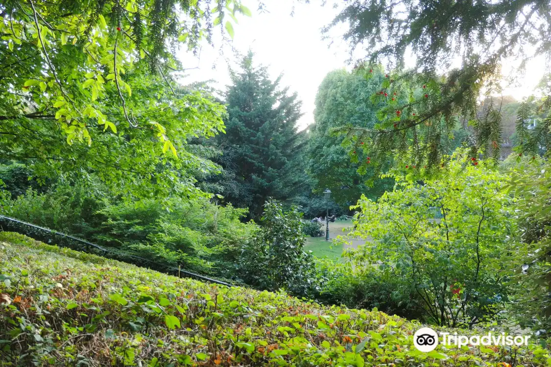 Hotels near Tenbosch park