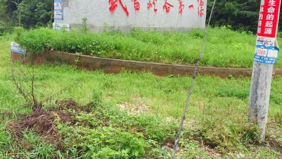 Đan Giang Khẩu