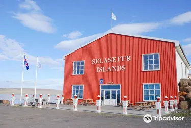 Hvammstangi