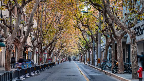 Shanghai Wukang Road + Sihang Warehouse Kriegsgedenkstätte Tiefgehende persönliche Führung