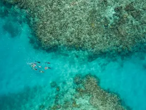 Great Barrier Reef