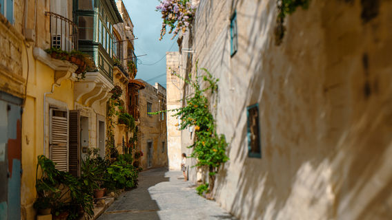 Mdina Old City Fortess