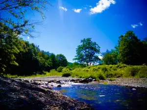 Broken Wheel Campground