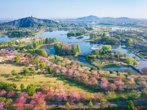 Chenshan Botanical Garden