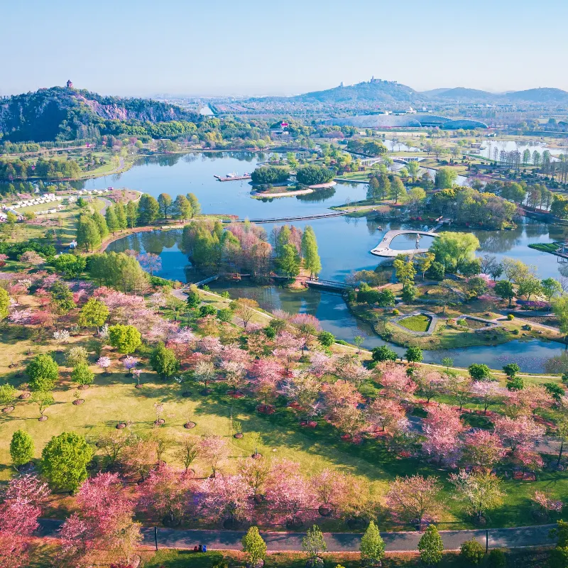 上海辰山植物園
