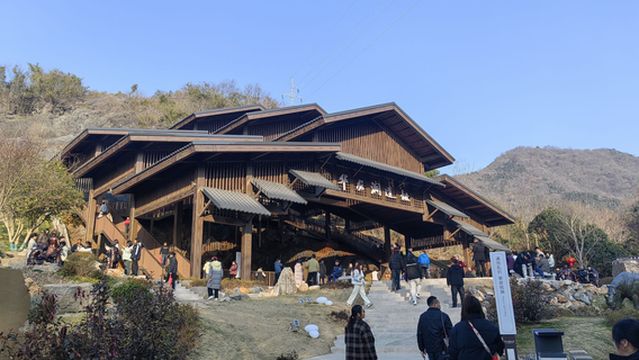 hua long dong yi zhi