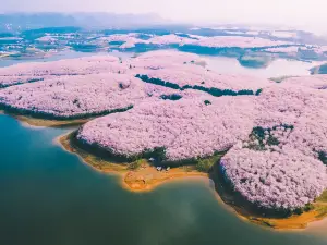 핑바 농장