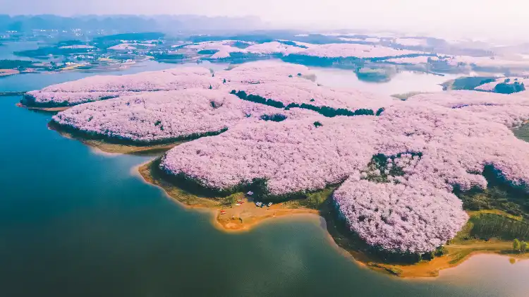 Anshun