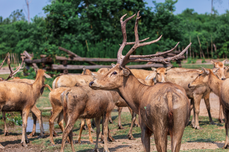 Top 10 Best Things to Do in Yancheng