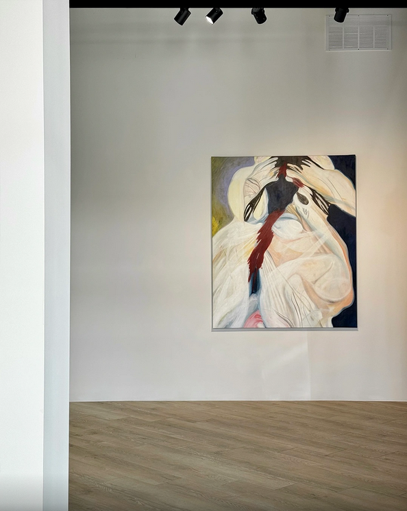 胡安娜·蘇伯卡索《細胞袋》展覽 | 休士頓