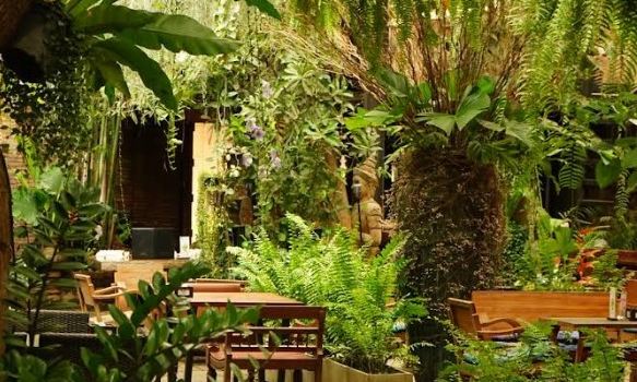 The FACES Gallery & Gastro Bar