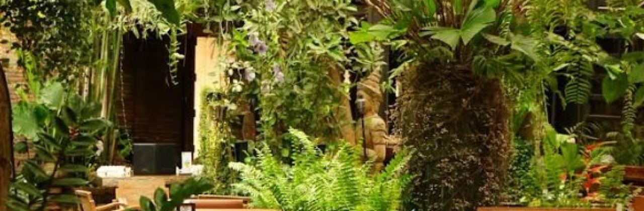 The FACES Gallery & Gastro Bar