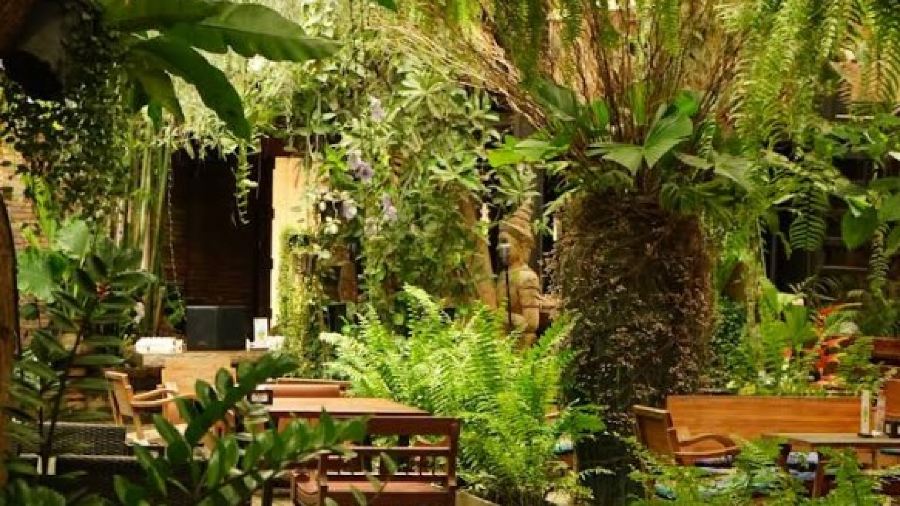 The FACES Gallery & Gastro Bar