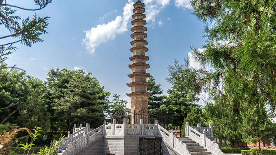 ta er wan zao xiang ta