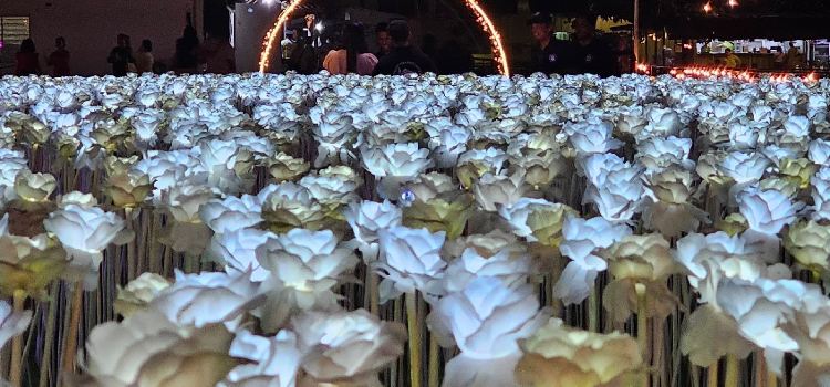 10000 Roses Cafe & More