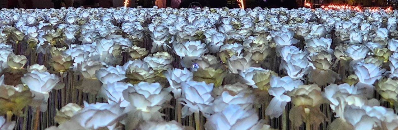 10000 Roses Cafe & More