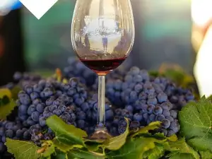 Stellenbosch Wine Festival