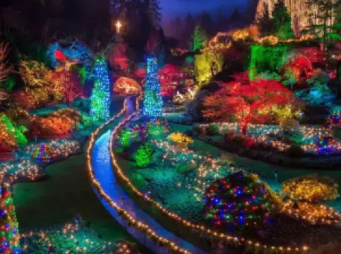 Popular Night Attractions in Capital