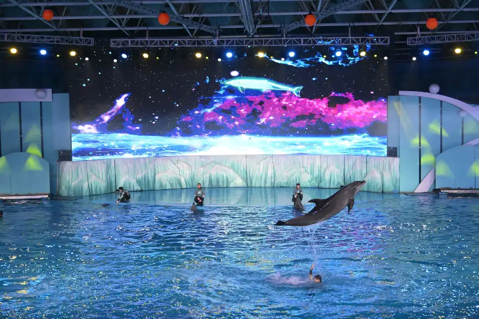 3_Polar Oceanarium