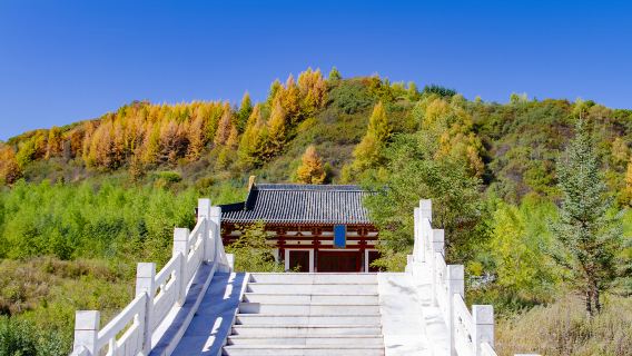 Weiheyuan Scenic Area