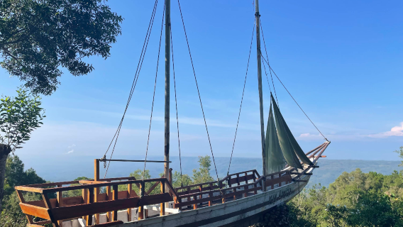 Mangunan Pines Forests