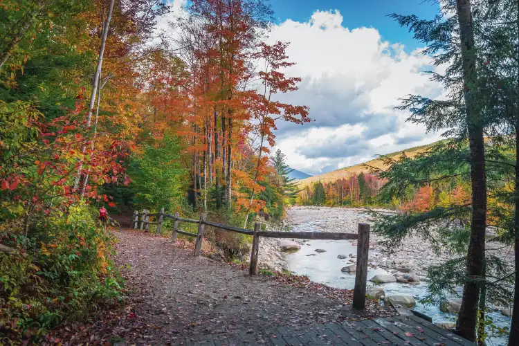 Hotel BW Signature Collection a Lincoln