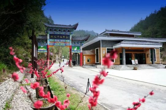 Taohuachong Forest Park