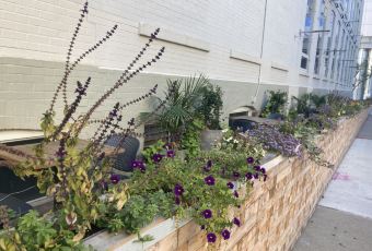 Byblos Downtown User Photo