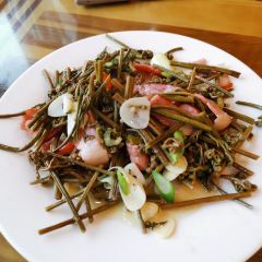 扎尕那牧家乐藏吧 User Photo