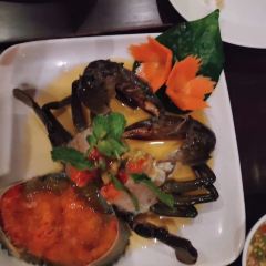 Rimpa Lapin User Photo