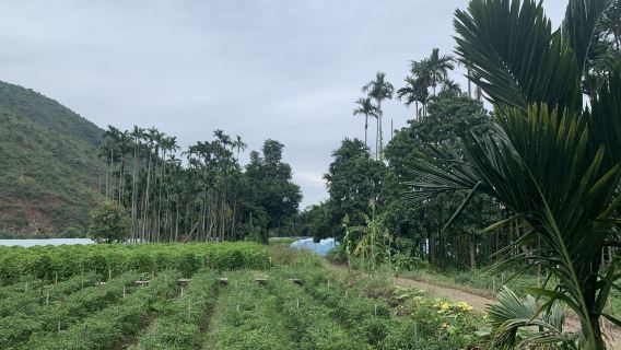 Mosha Damuyu Tourism and Cultural Ecological Village