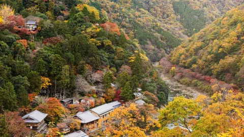 Sagano attraction in Kyoto