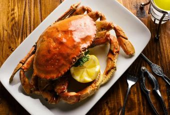 Rodney’s Toronto User Photo