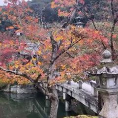 CLUB METRO User Photo