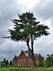 The Environment Centre