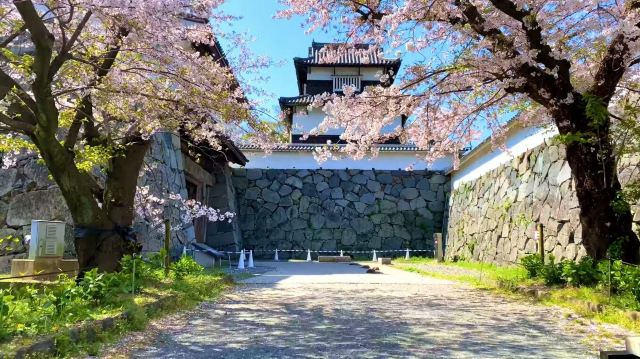 舞鶴公園